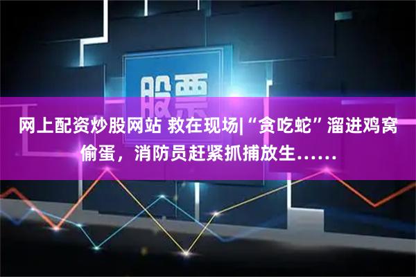 网上配资炒股网站 救在现场|“贪吃蛇”溜进鸡窝偷蛋，消防员赶紧抓捕放生……