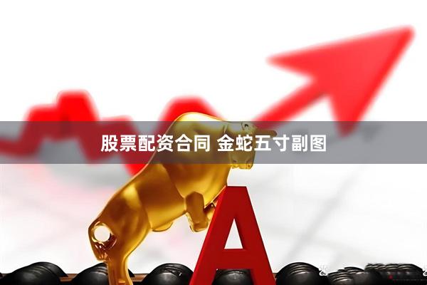 股票配资合同 金蛇五寸副图